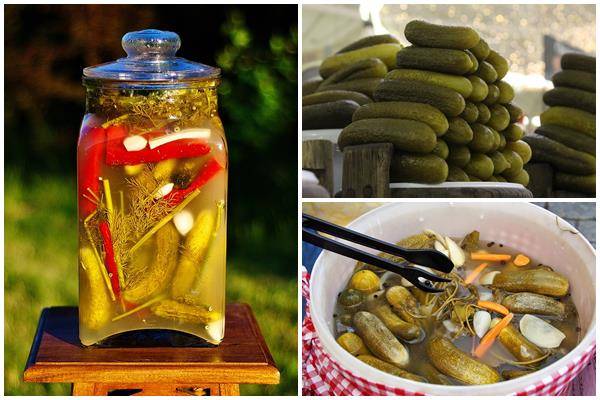 Tips for Including Pickles in Your Weight Loss Diet